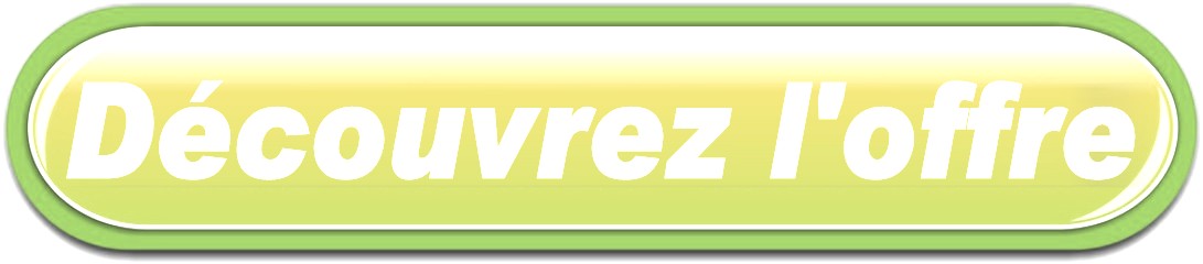 BOUTON LIVRAISON FLEURS A VILLEMANDEUR