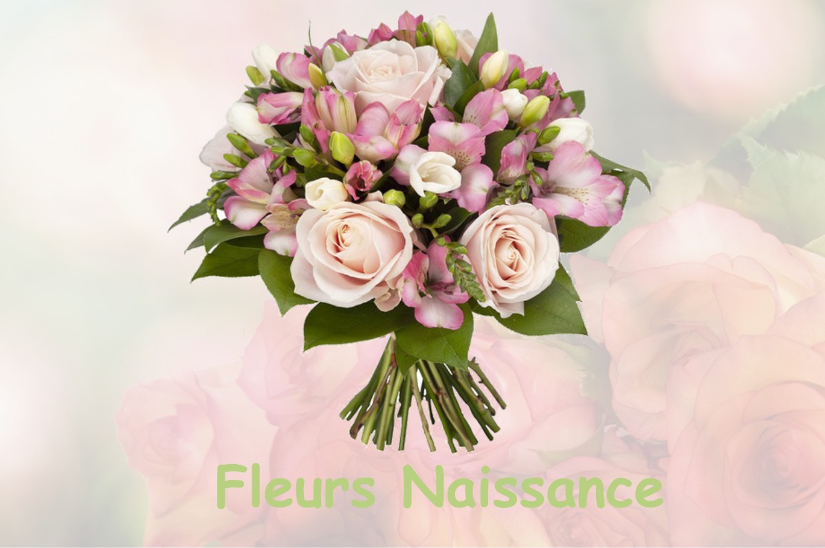 fleurs naissance VILLEMANDEUR