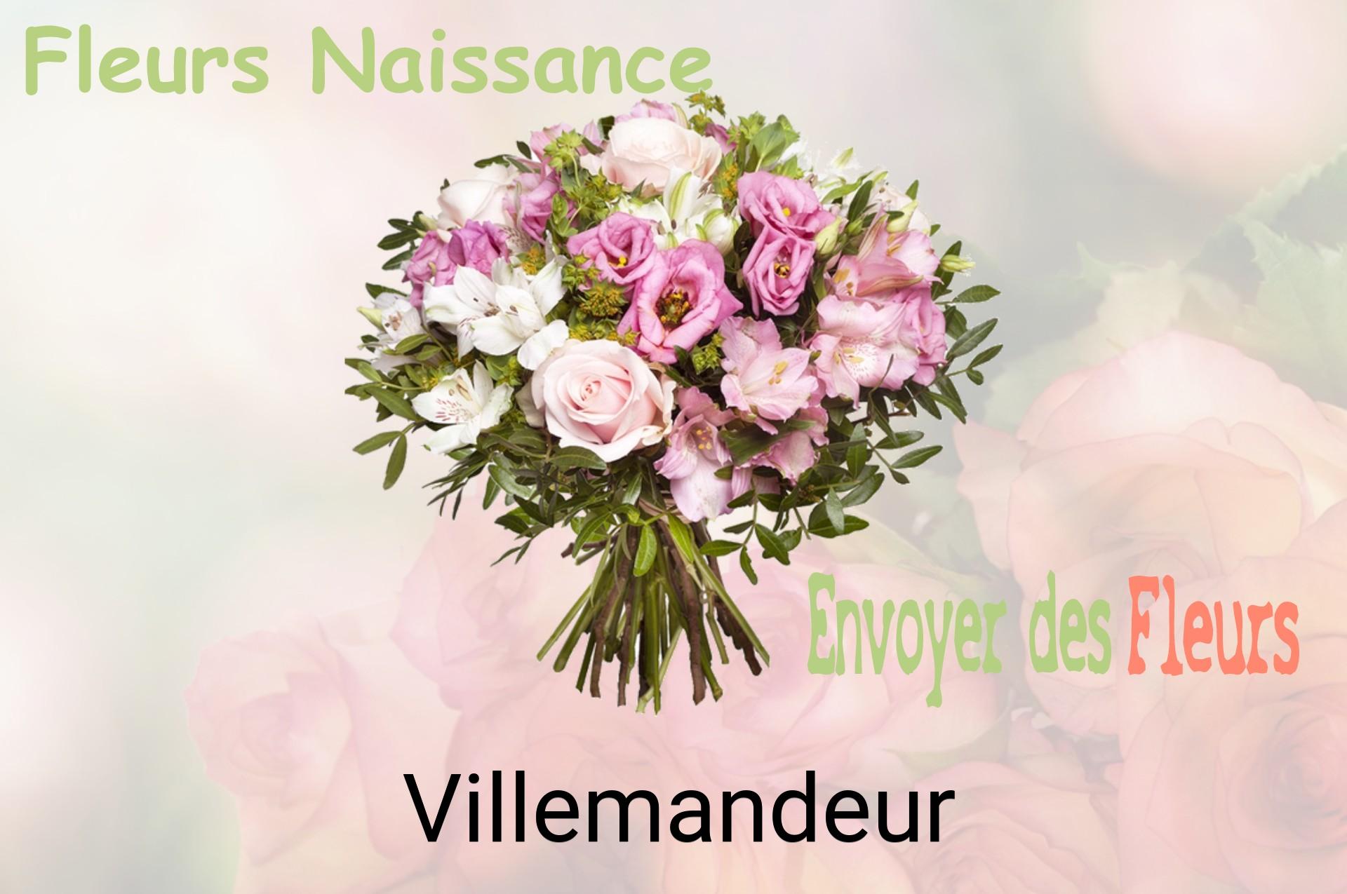 Bouquet de fleurs de naissance livré à Villemandeur