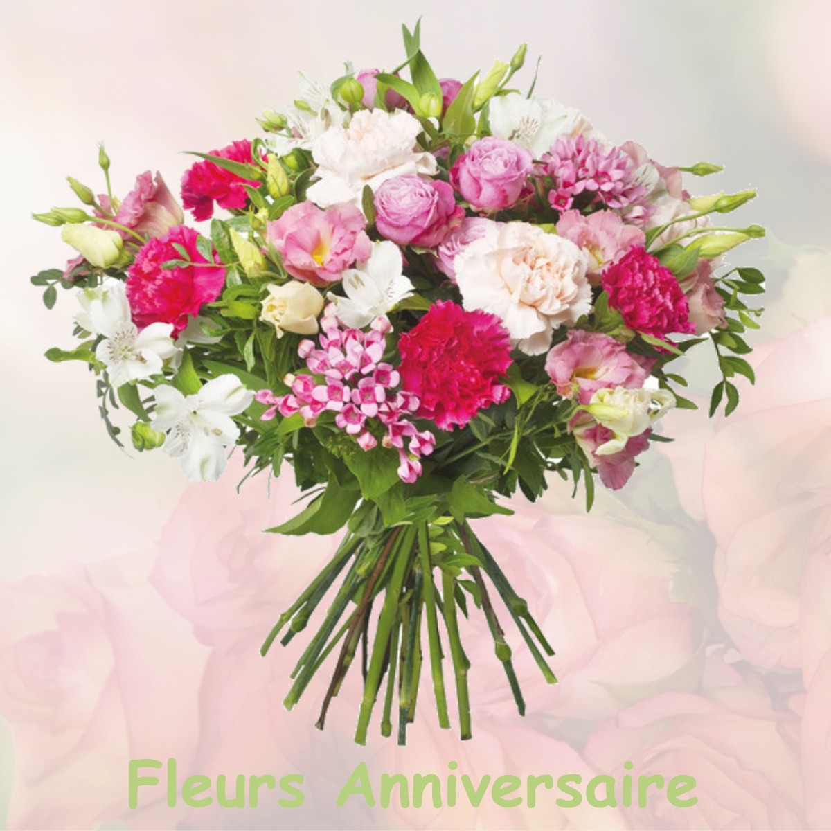 fleurs anniversaire VILLEMANDEUR